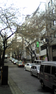 090328_172339.jpg