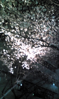 090330_233107.jpg